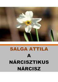 narcisztikus.jpg